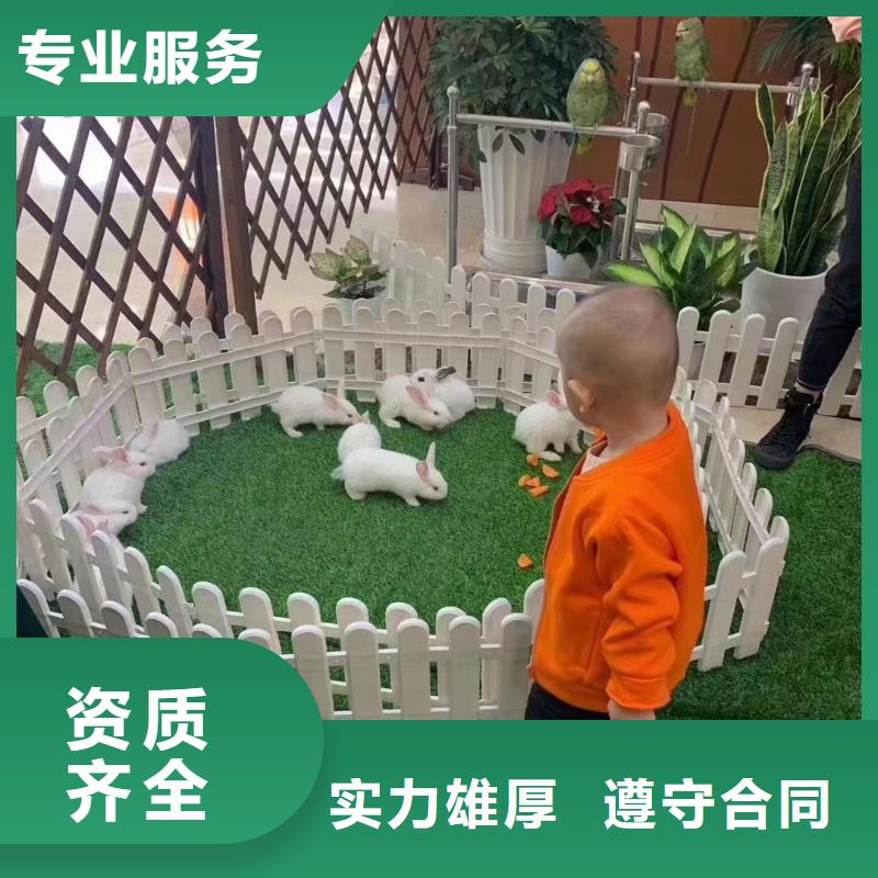 【馬戲團/羊駝】【海獅租賃表演】價格透明