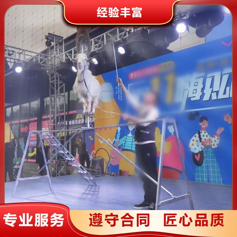 萌寵展租賃聯系我們