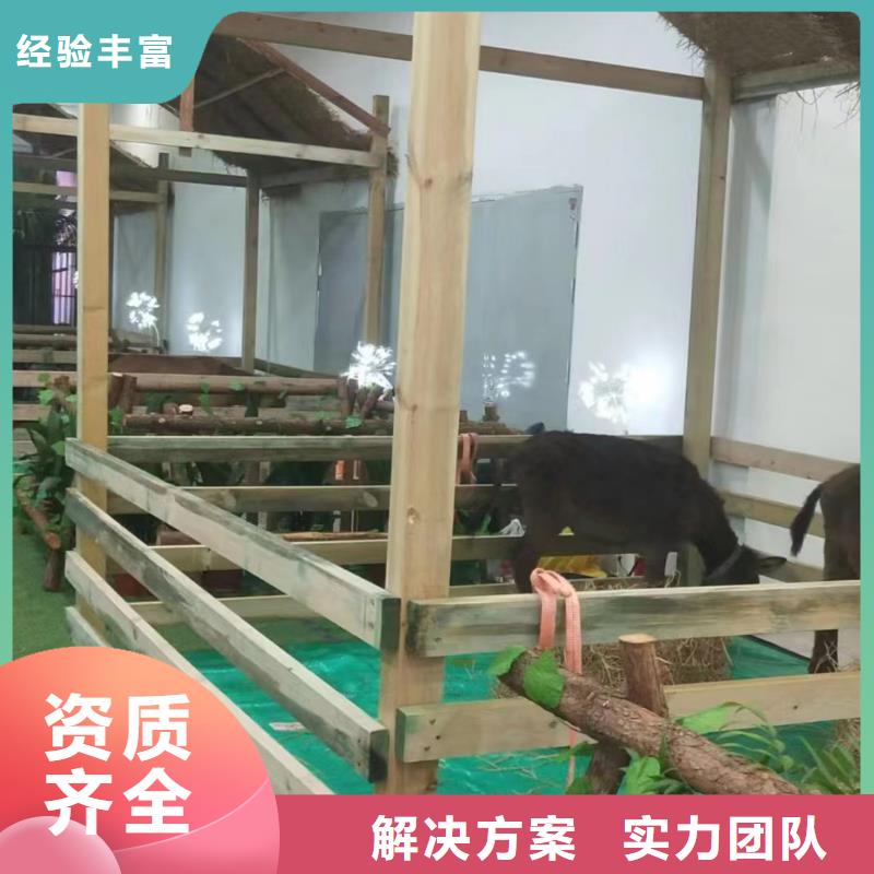 海狮表演出租视频-海狮表演出租|黄冈市|罗田|蕲春|随州|襄阳|咸宁|恩施