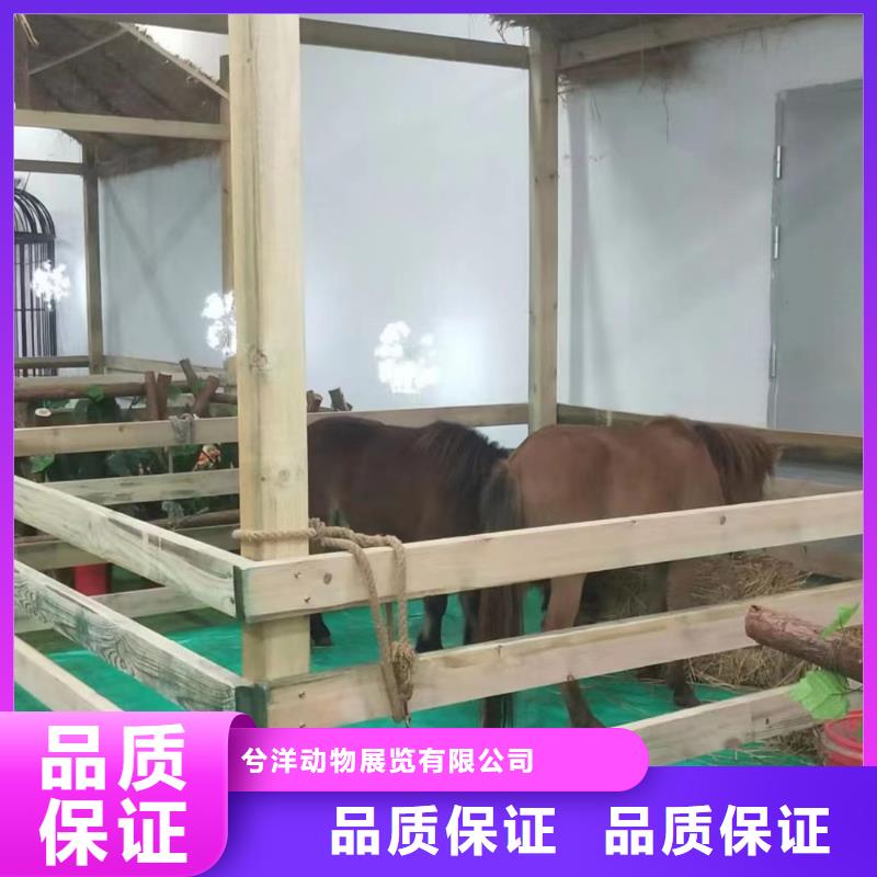 動(dòng)物表演出租免費(fèi)寄樣