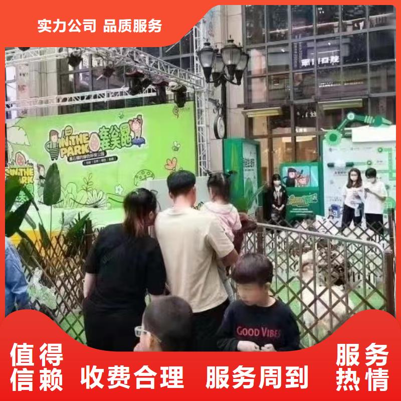 馬戲團/羊駝-企鵝出租專業承接