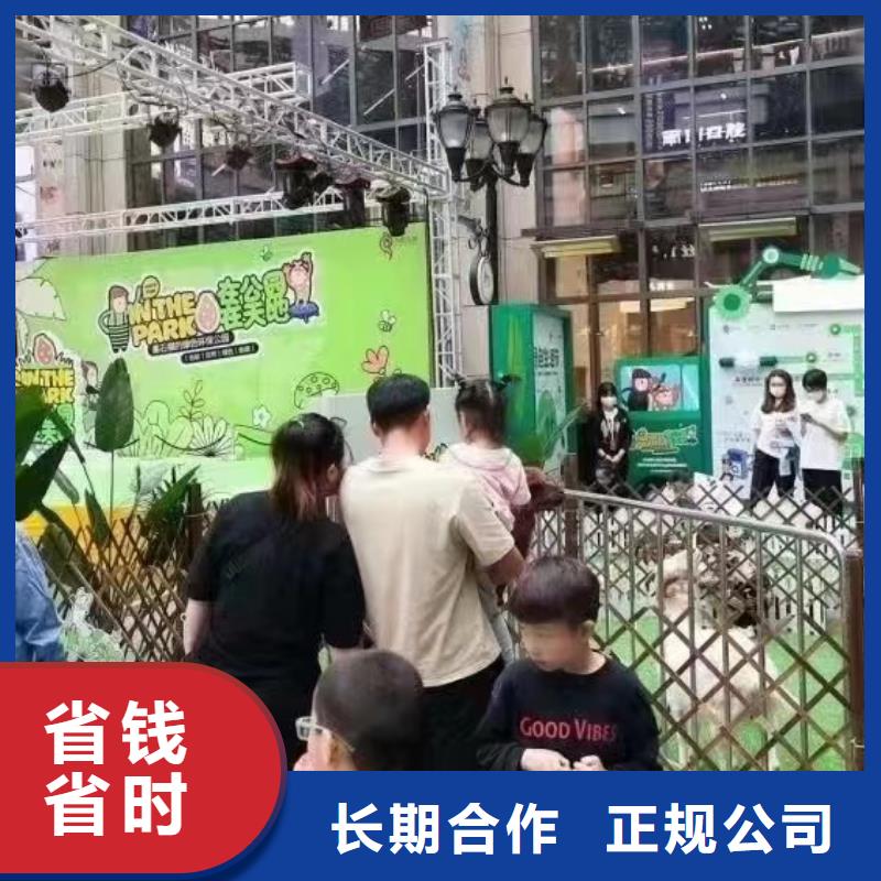 马戏团/羊驼海狮表演租赁公司