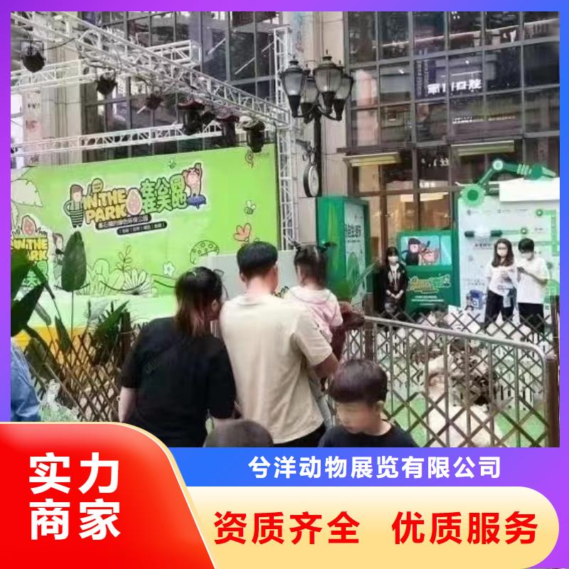 動物表演出租一手資源