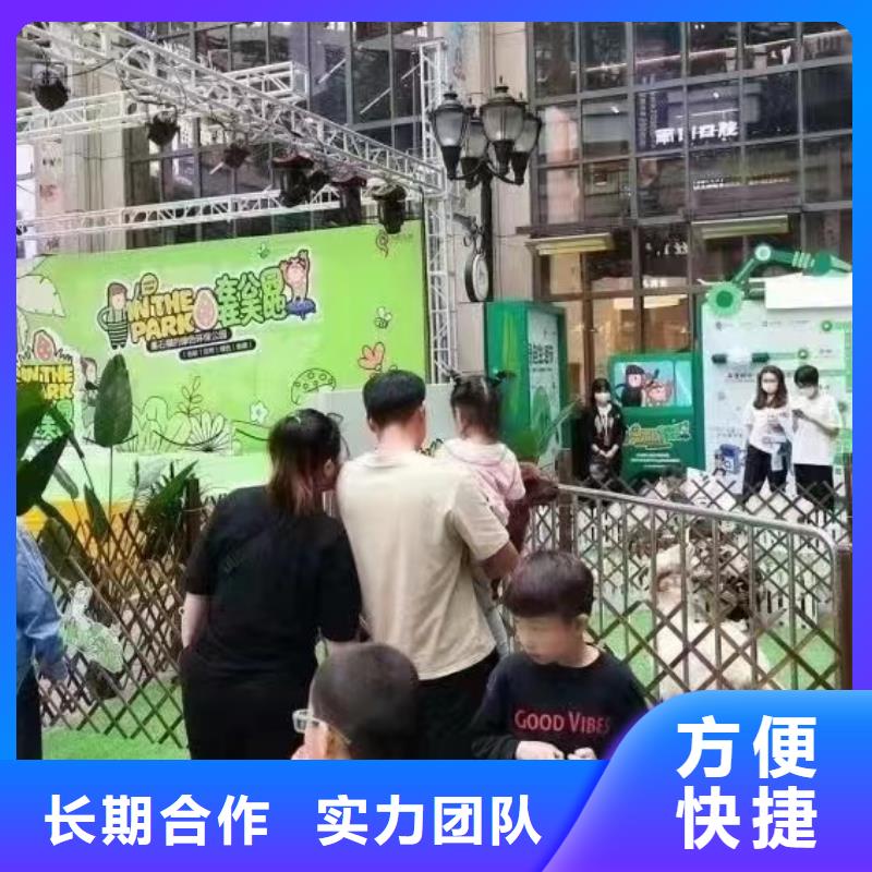 馬戲團表演出租一手資源