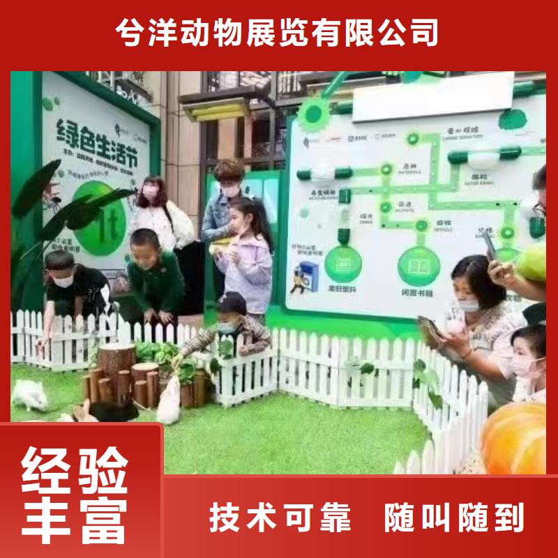 哪有出租萌寵展的房地產活動