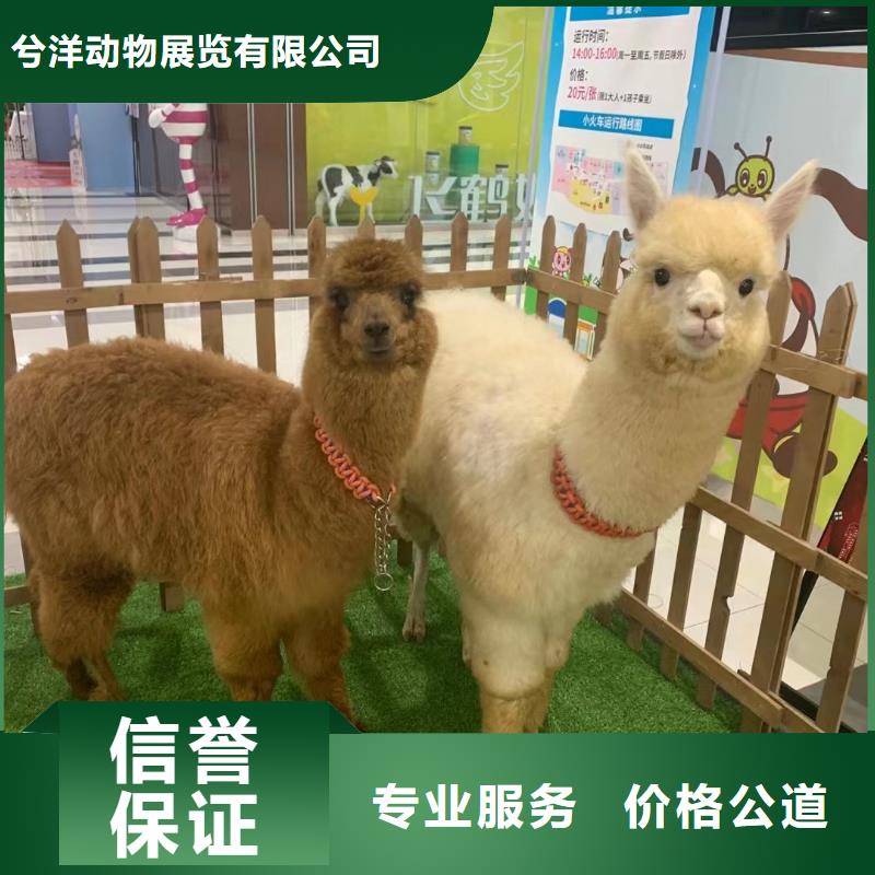萌寵展出租聯(lián)系方式