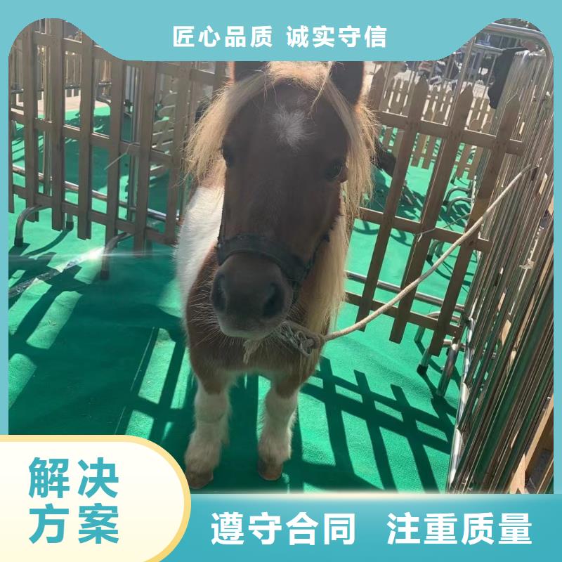 動(dòng)物表演出租免費(fèi)寄樣