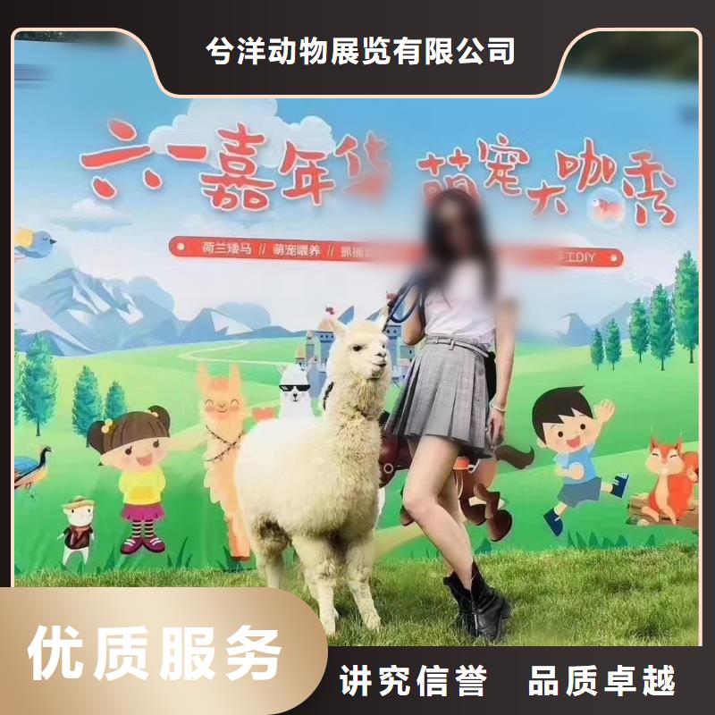 動(dòng)物表演出租免費(fèi)寄樣
