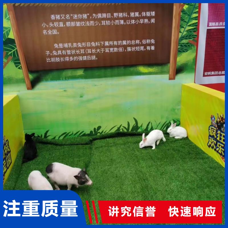 马戏团/羊驼鹦鹉表演出租实力商家