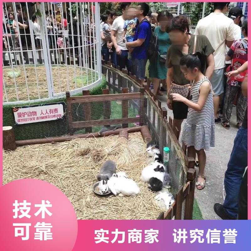 马戏团/羊驼出租表演萌宠放心之选
