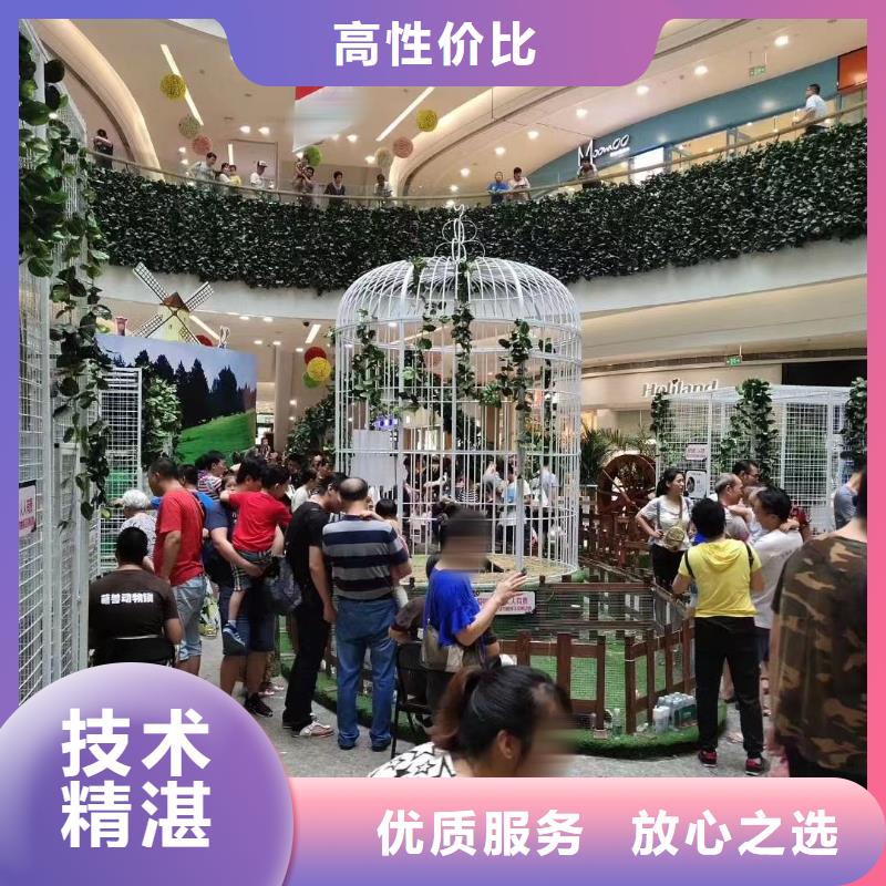 马戏团/羊驼吉祥百鸟展值得信赖