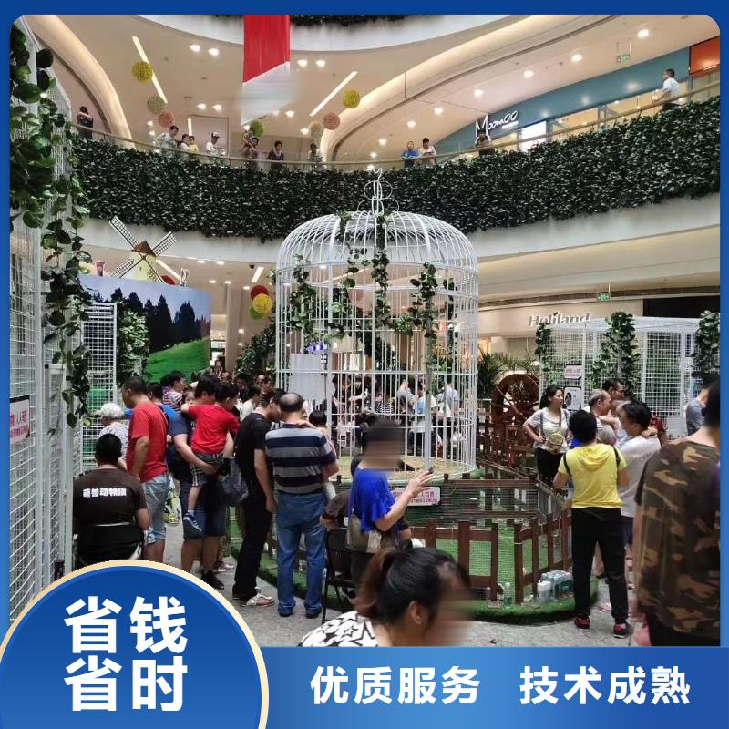 馬戲團(tuán)表演出租圖片