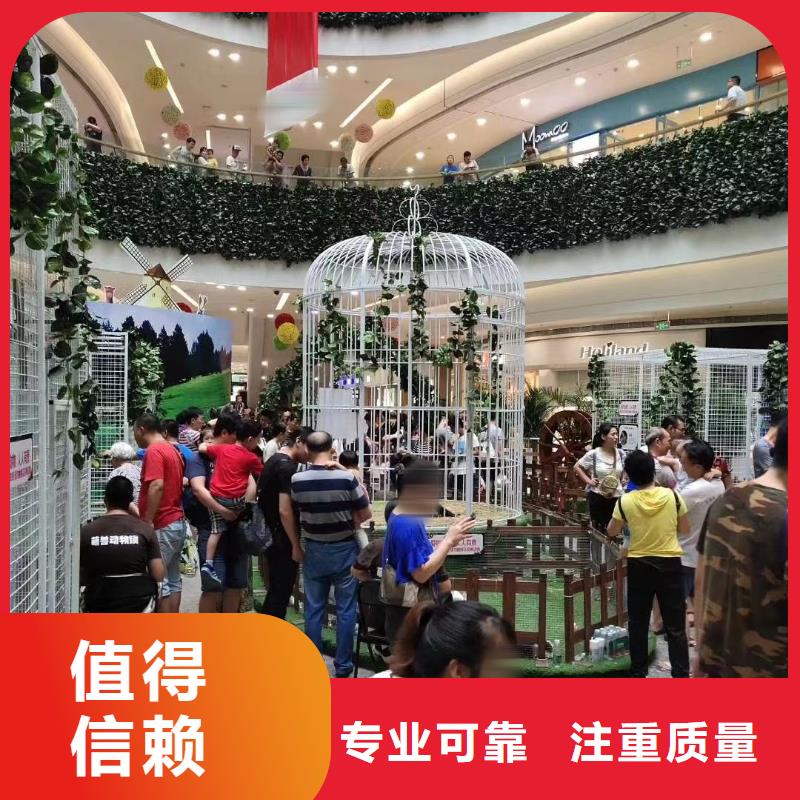 马戏团/羊驼-死轮表演技术好