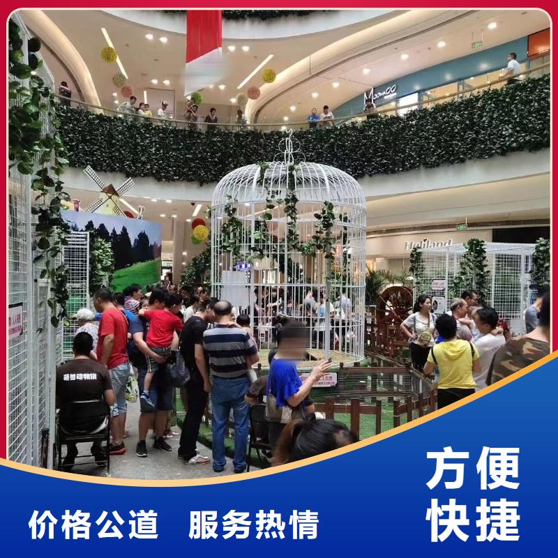 羊駝租賃公司