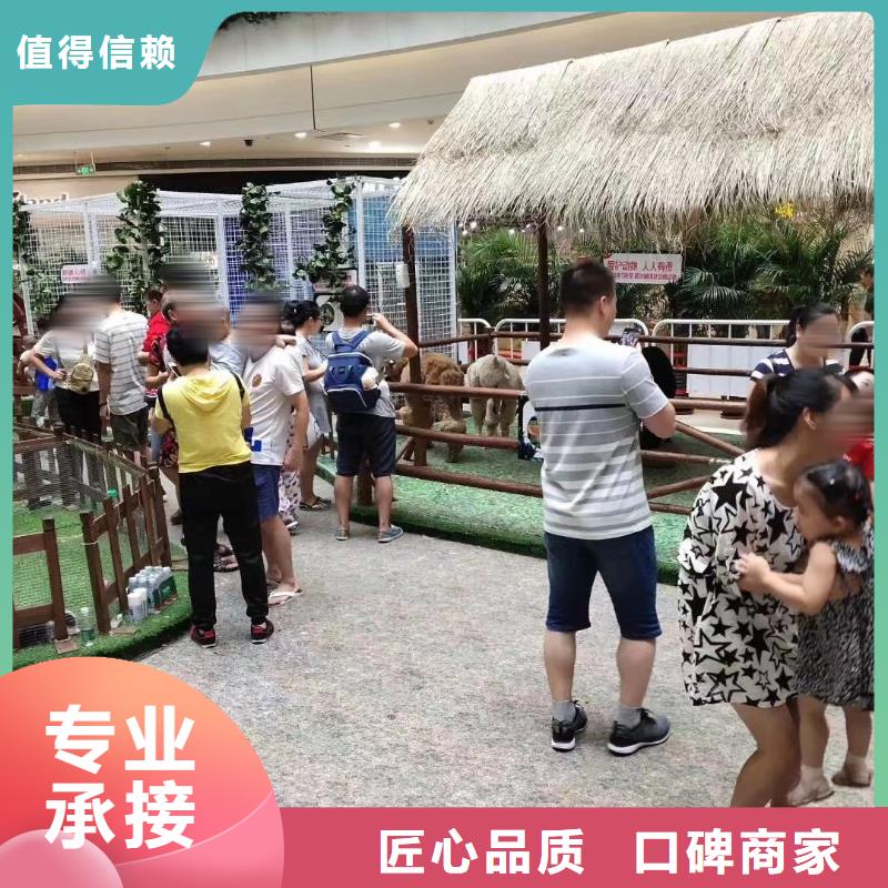 馬戲團/羊駝租賃美人魚表演品質服務