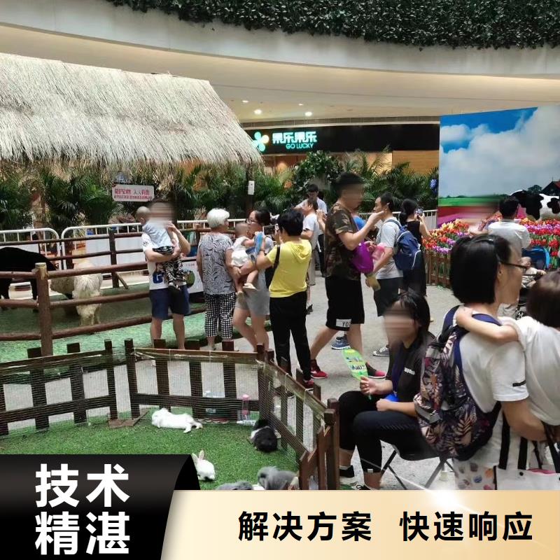 馬戲團/羊駝_海獅表演出租良好口碑