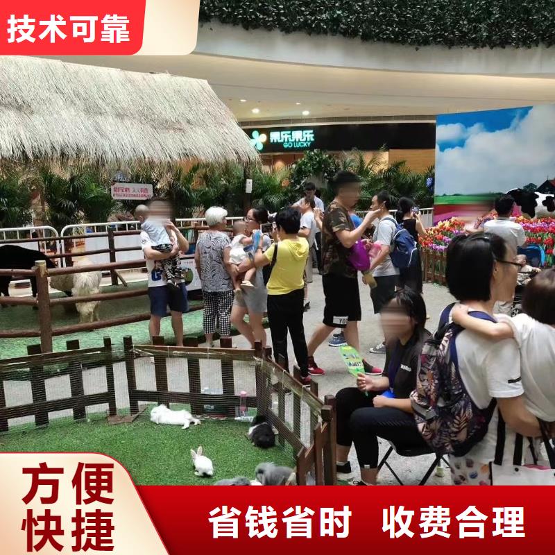 馬戲團/羊駝【企鵝租賃】服務熱情