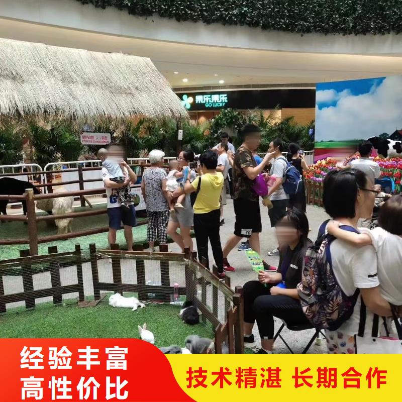 【馬戲團/羊駝_【海獅表演租賃】多年經驗】