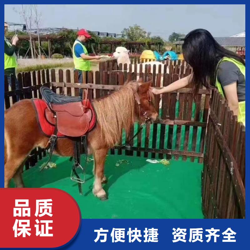 羊駝租賃公司