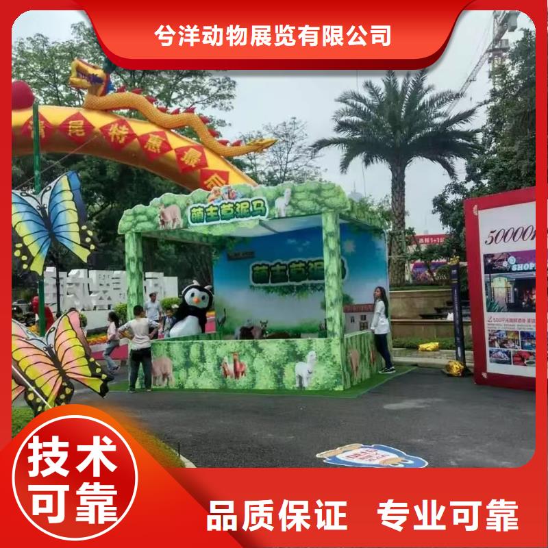 海狮表演出租视频-海狮表演出租|黄冈市|罗田|蕲春|随州|襄阳|咸宁|恩施
