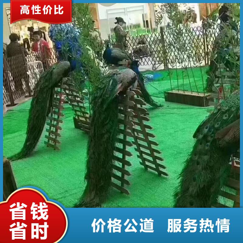 马戏团/羊驼鹦鹉表演出租实力商家
