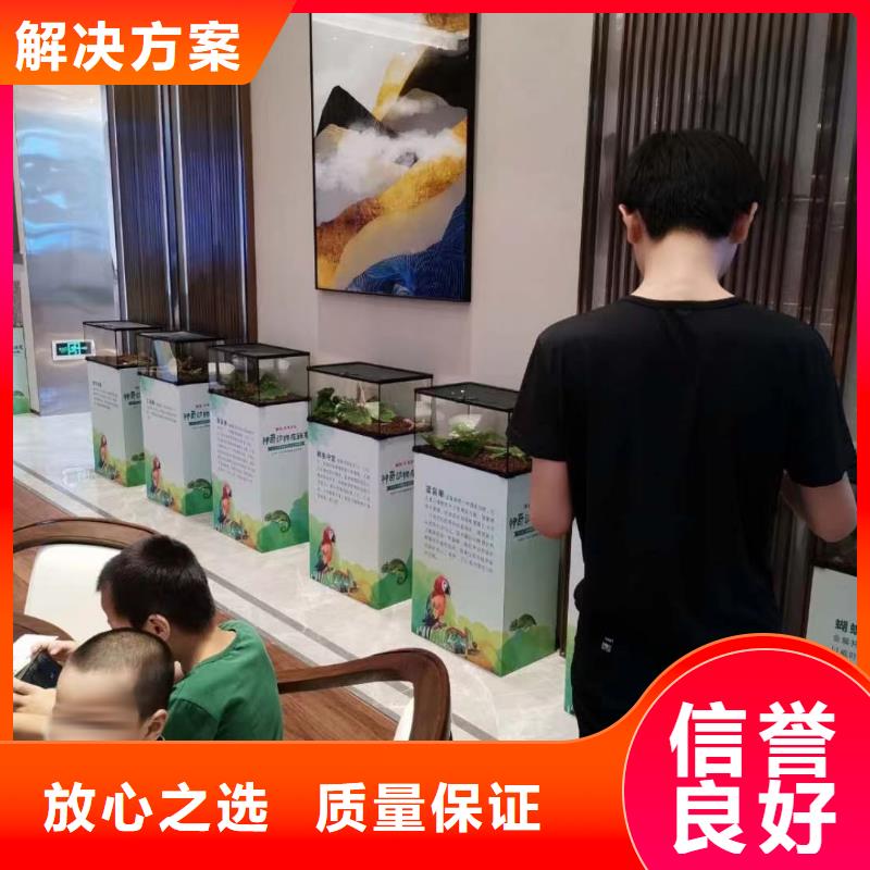 【馬戲團/羊駝】動物表演品質保證