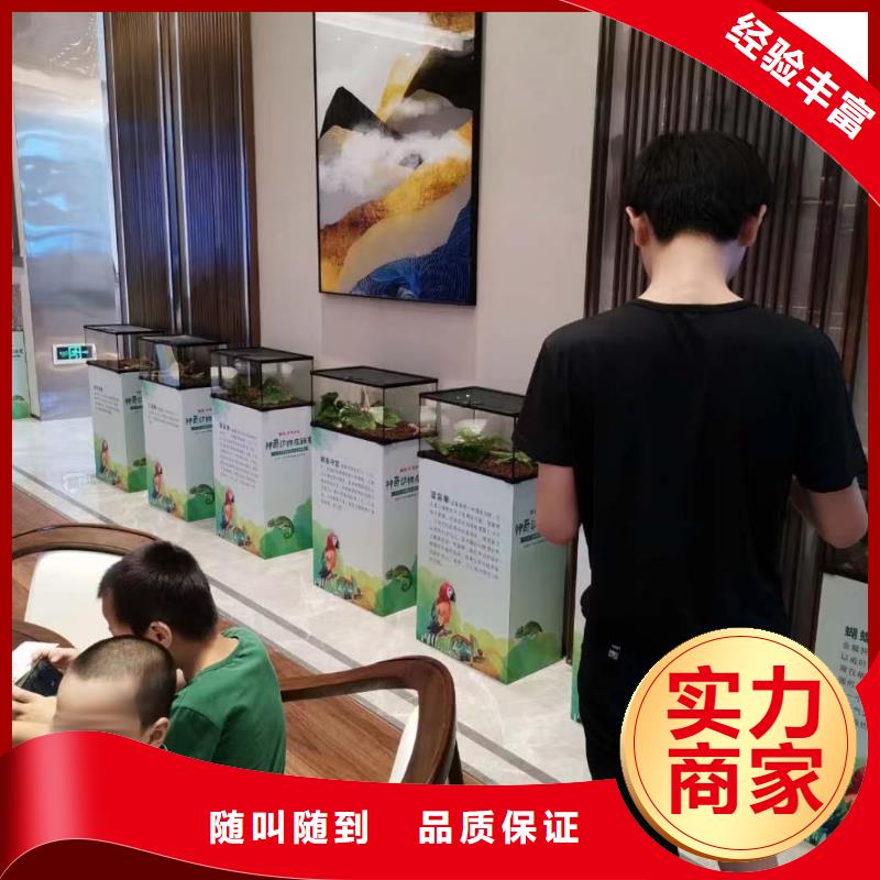 哪里有租賃羊駝的_支持定制