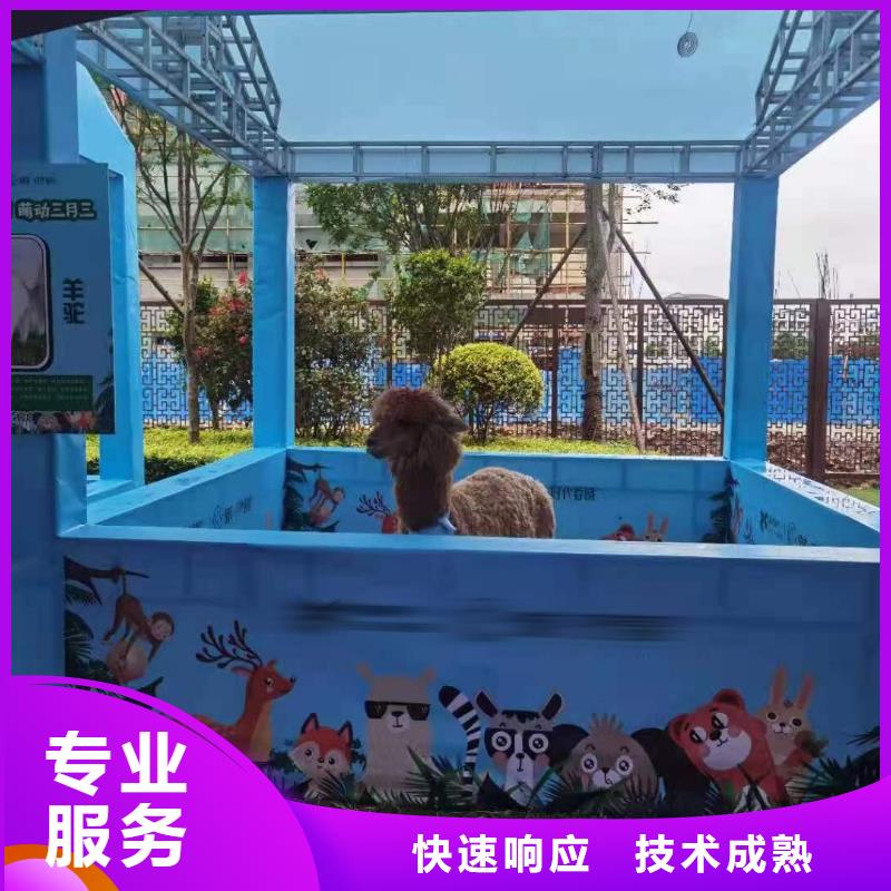 動物表演出租貨源充足