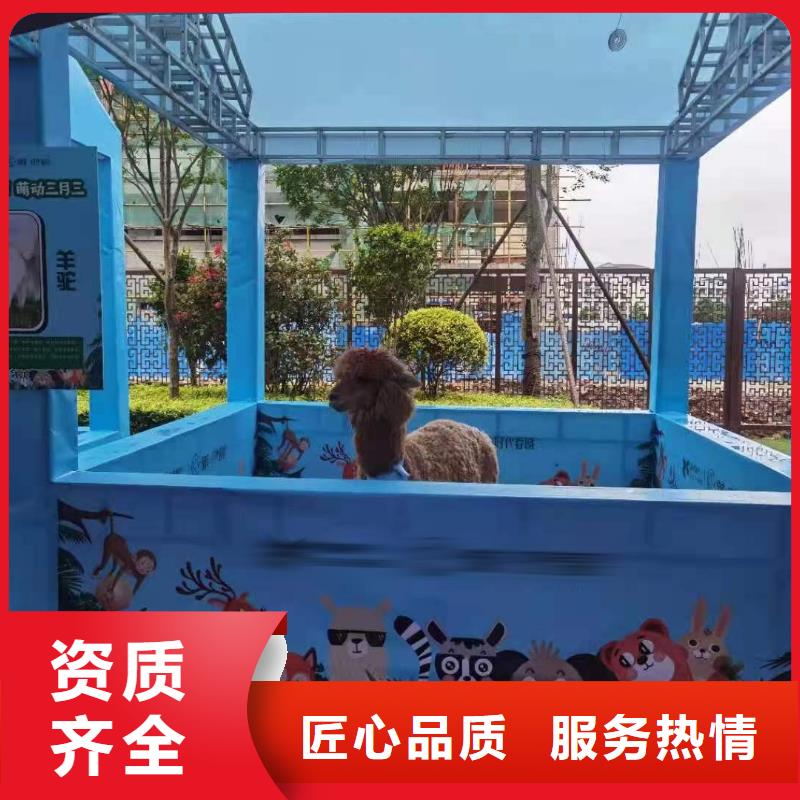 馬戲團/羊駝_出租企鵝專業可靠