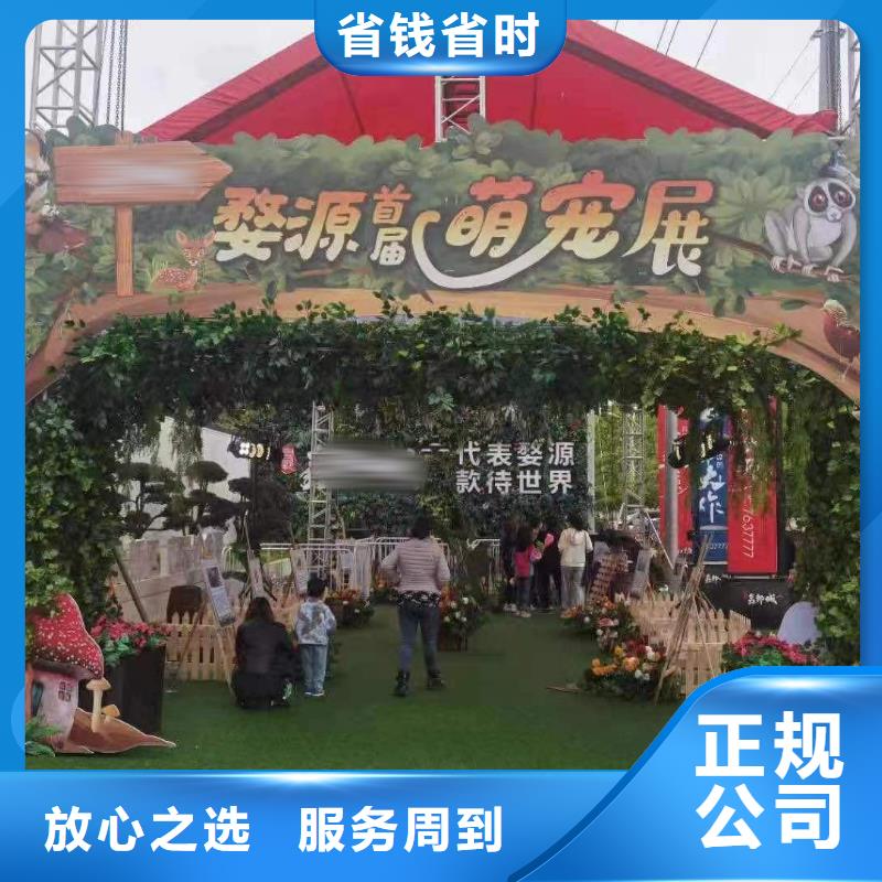 馬戲團/羊駝,小香豬寵物出租正規