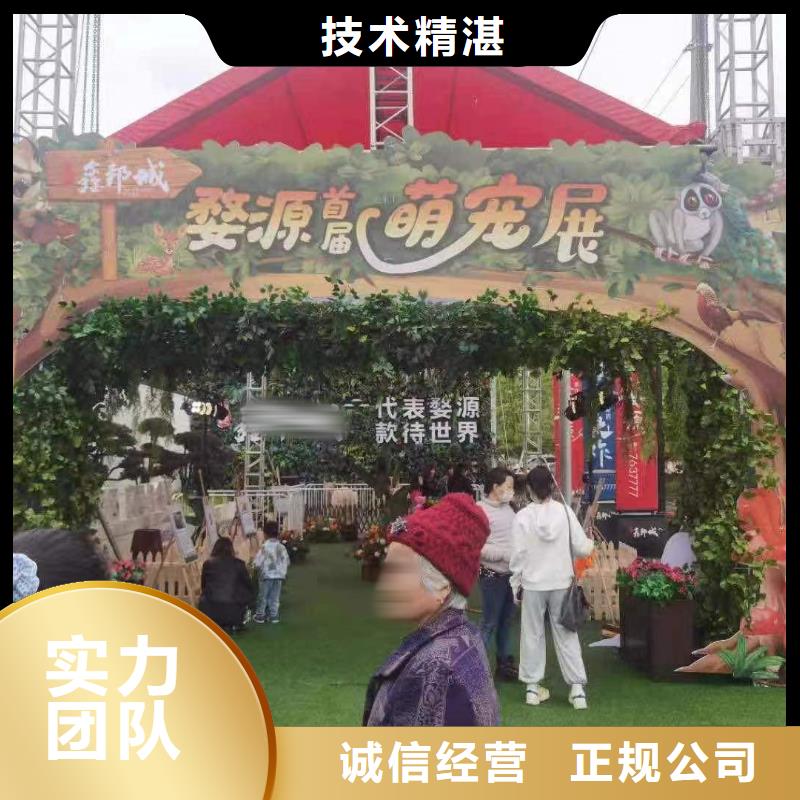 马戏团/羊驼房地产开盘庆典随叫随到