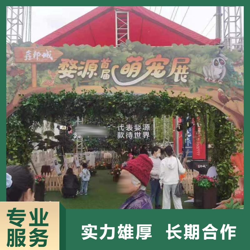 馬戲團/羊駝表演羊駝租賃品質服務