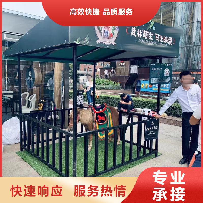 大飛輪表演租賃創意方案