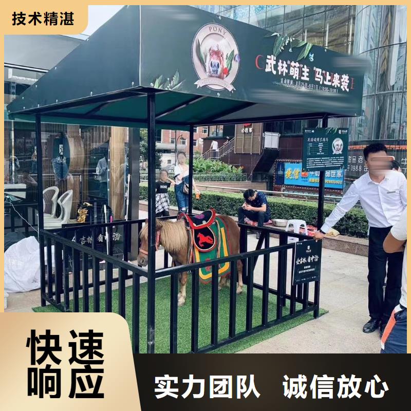 馬戲團/羊駝海獅表演出租明碼標價