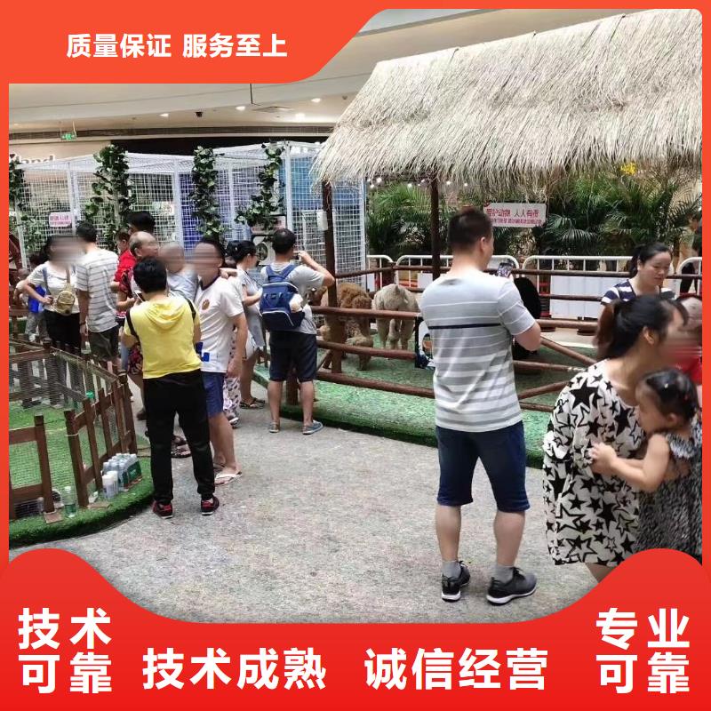 马戏团/羊驼_海狮表演出租良好口碑