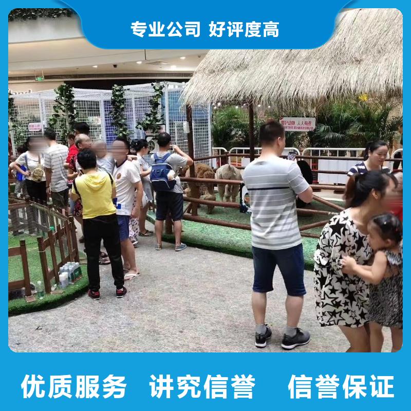 羊駝租賃公司