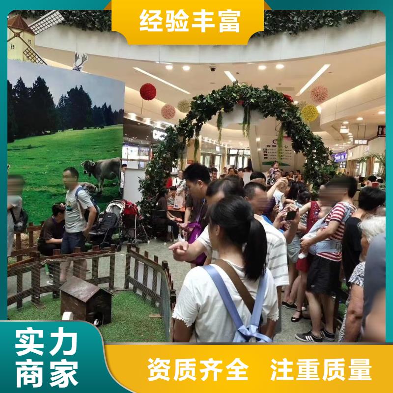 马戏团/羊驼【马戏团表演出租租赁】优质服务