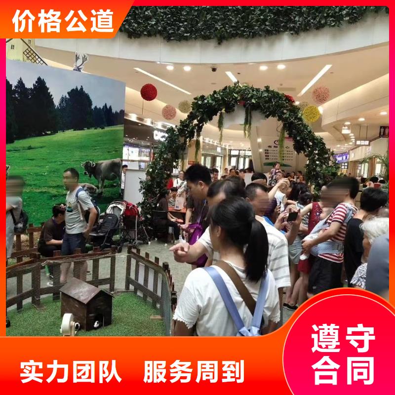馬戲團/羊駝-海獅表演出租講究信譽