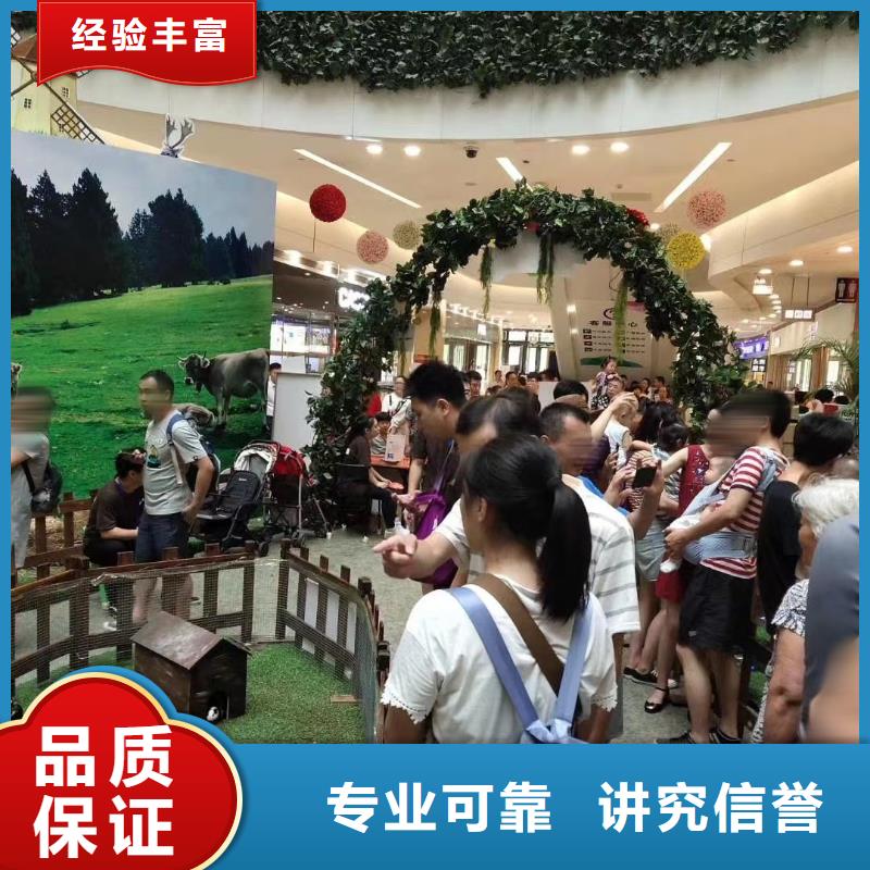 马戏团/羊驼 【活体羊驼租赁】拒绝虚高价