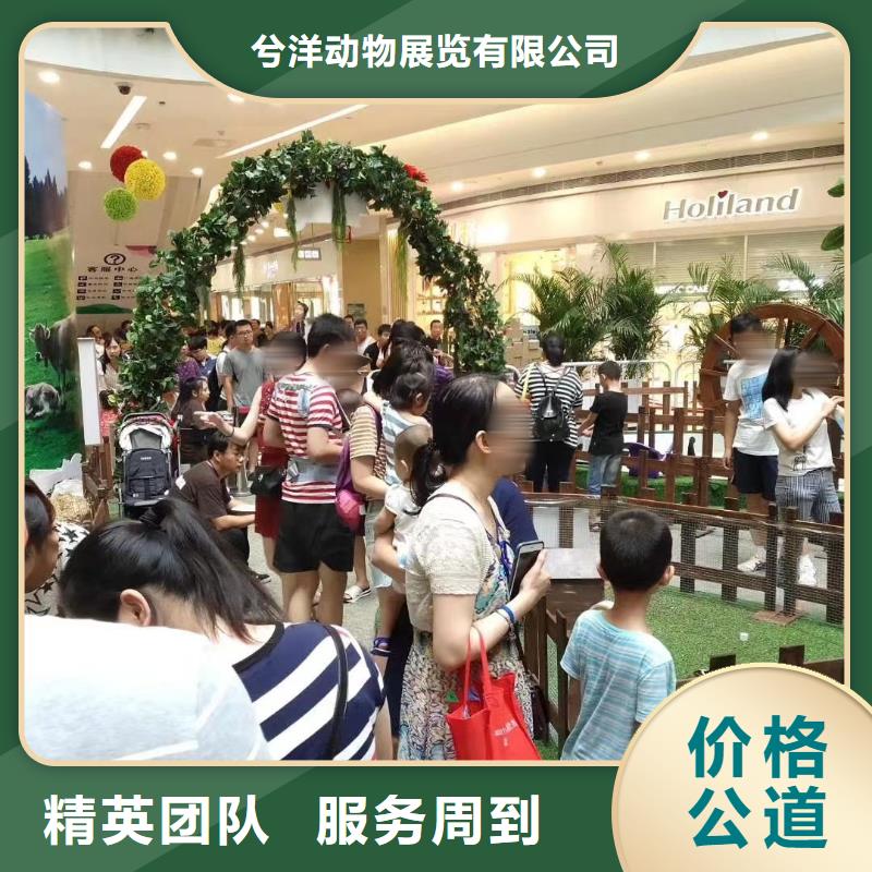 大飛輪表演租賃創意方案