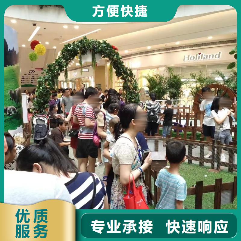 哪有出租鸚鵡表演的實力可靠