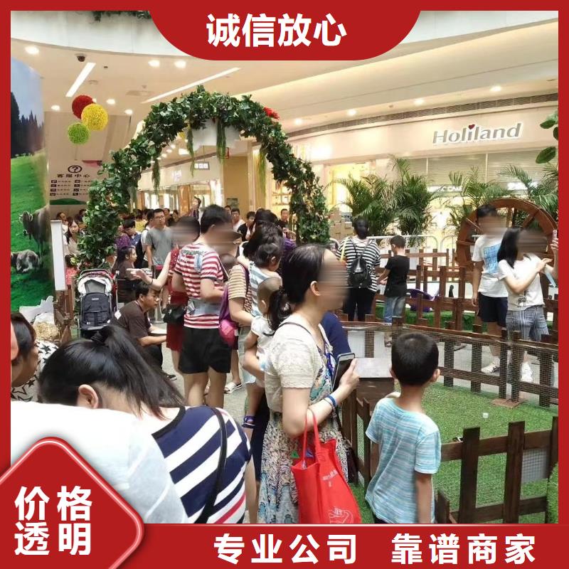 马戏团/羊驼鹦鹉表演2025公司