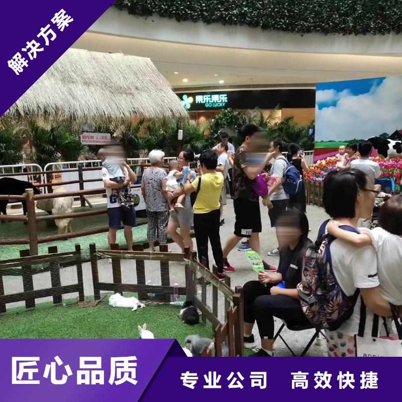 馬戲團表演出租活動慶典