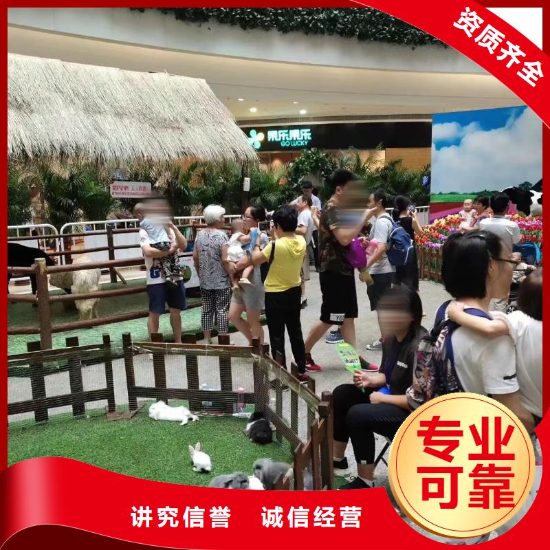 马戏团/羊驼马戏团表演出租信誉保证