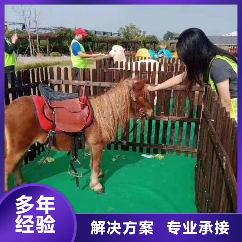 哪里有出租動(dòng)物的商場(chǎng)活動(dòng)