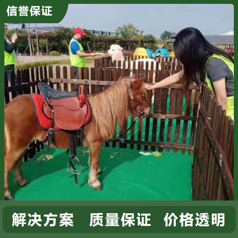 大飛輪表演租賃創意方案
