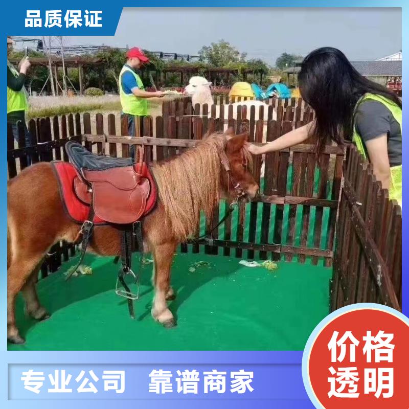 羊駝租賃公司