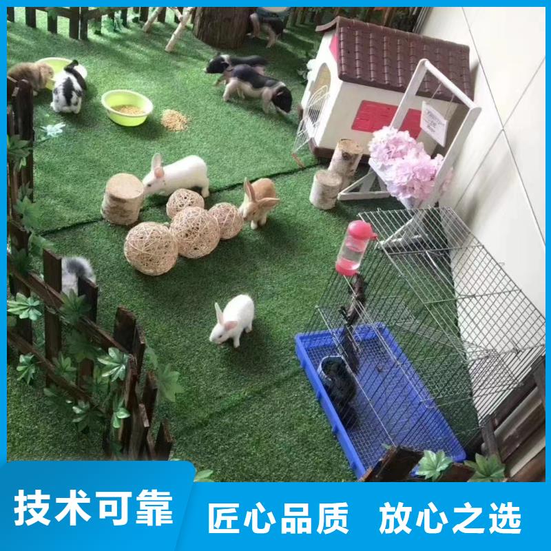 馬戲團出租表演