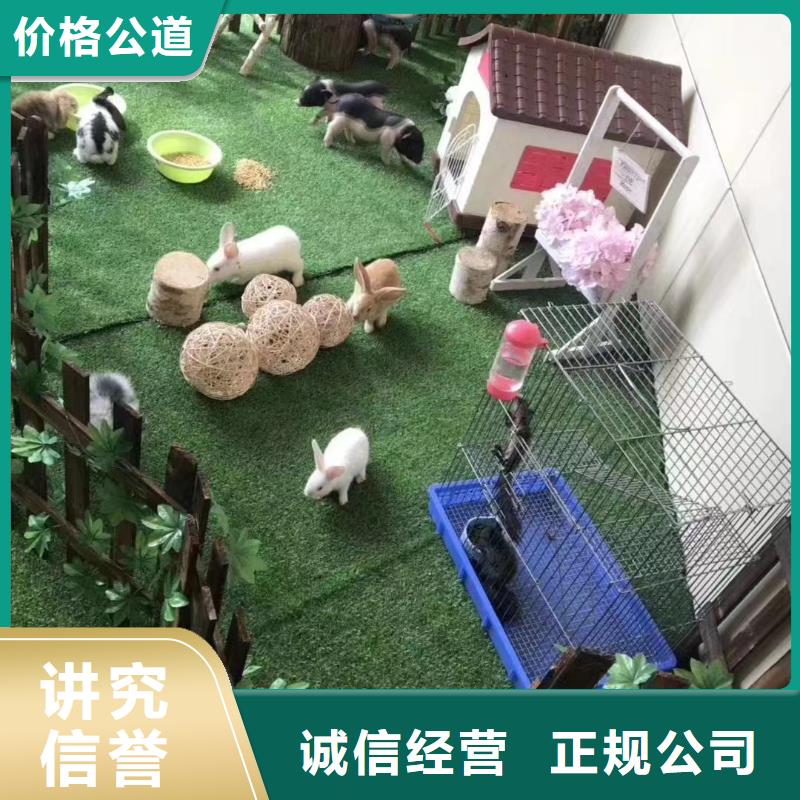 【马戏团/羊驼萌宠动物展出租匠心品质】