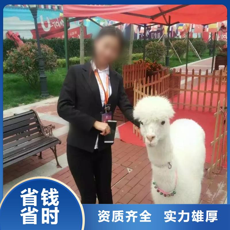 動物馬戲團表演出租暖場活動
